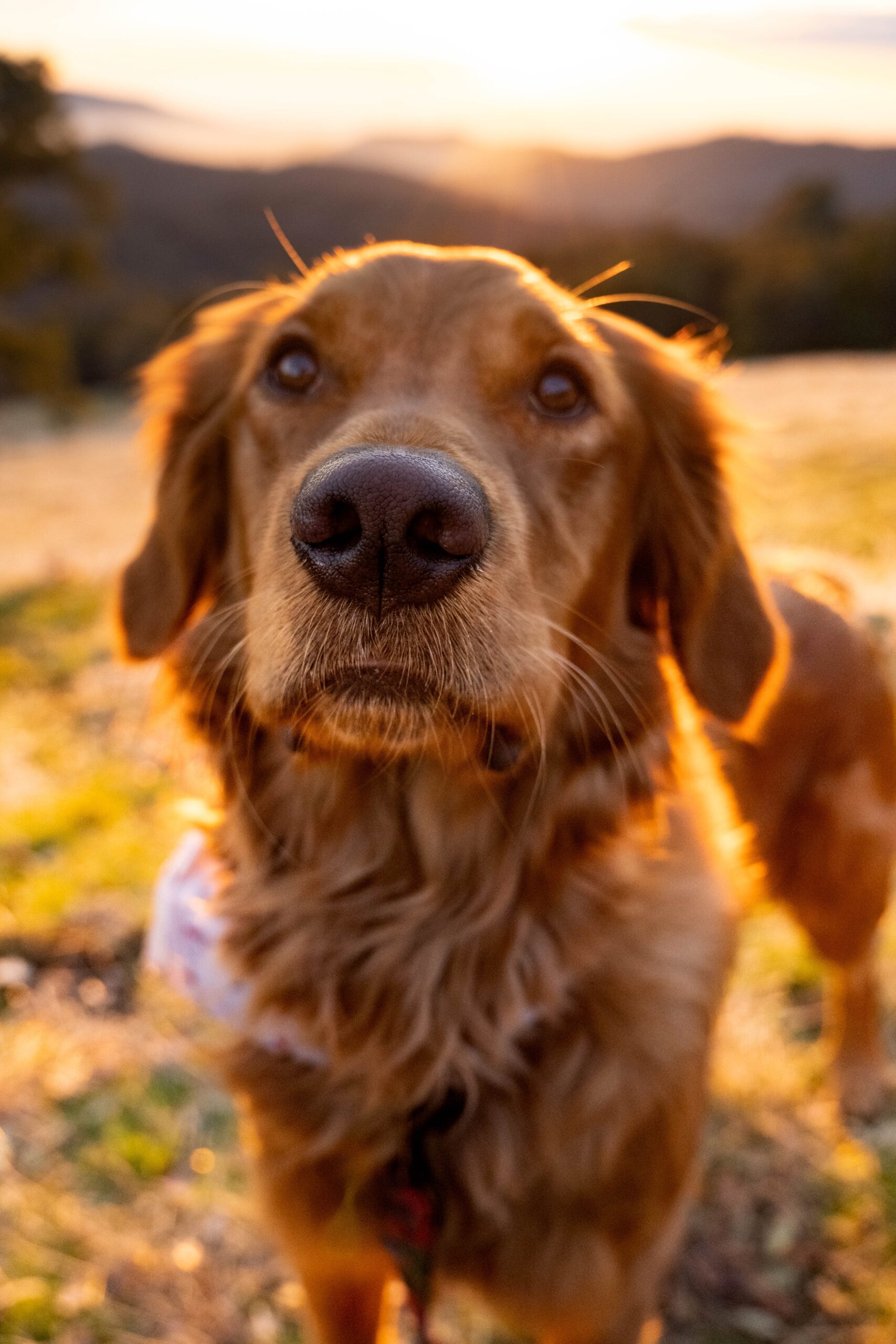 samantha-fortney-47BLOg6xSlE-unsplash